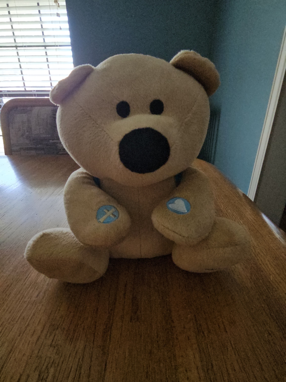 Prayer Bear